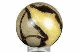 Polished Septarian Sphere - Madagascar #260025-1